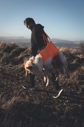 Bilde av Non-stop dogwear Dog rescue sling pro Orange